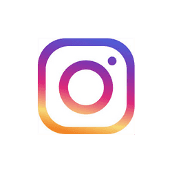 Instagram API logo